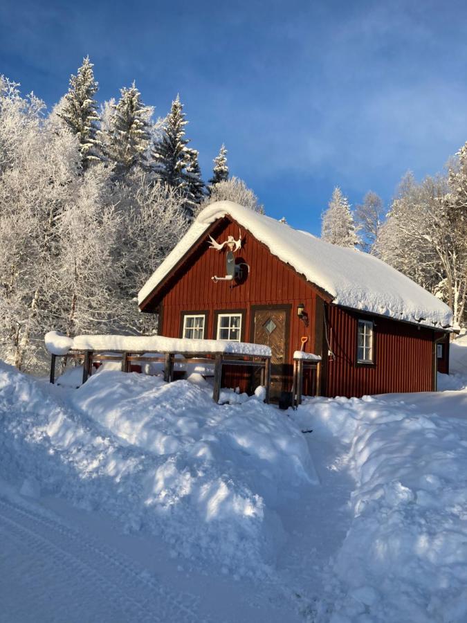 Valagardens Vaerdshus Och Camping Ab Vålådalen エクステリア 写真