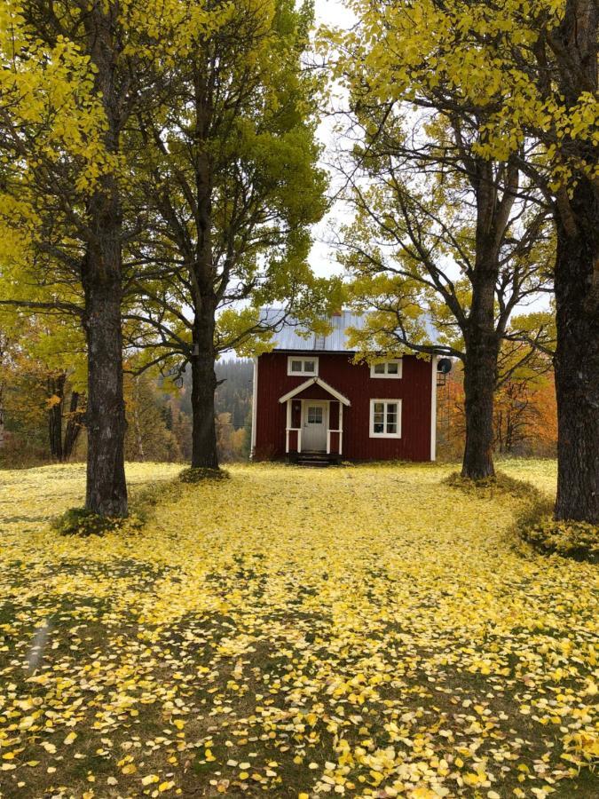 Valagardens Vaerdshus Och Camping Ab Vålådalen エクステリア 写真