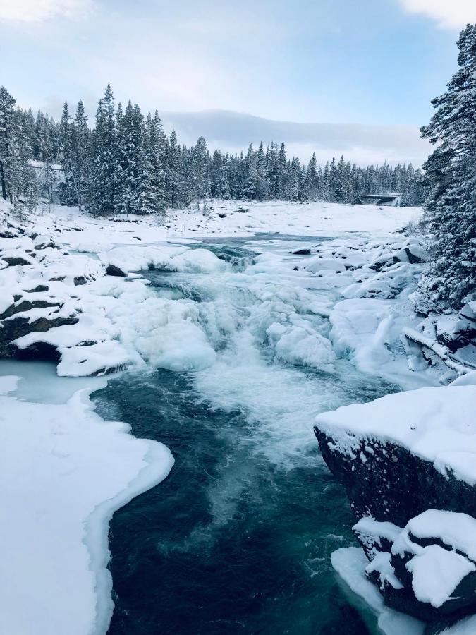 Valagardens Vaerdshus Och Camping Ab Vålådalen エクステリア 写真